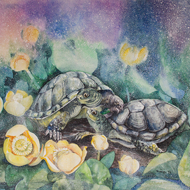 Наше уютное болотце