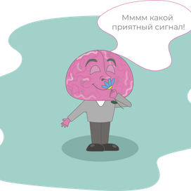 Факты о человеческом организме