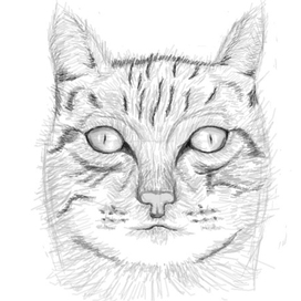 Рисунок лица кошки компьютерной мышкой