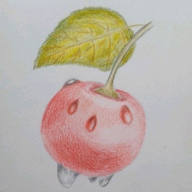 Вишня в росе