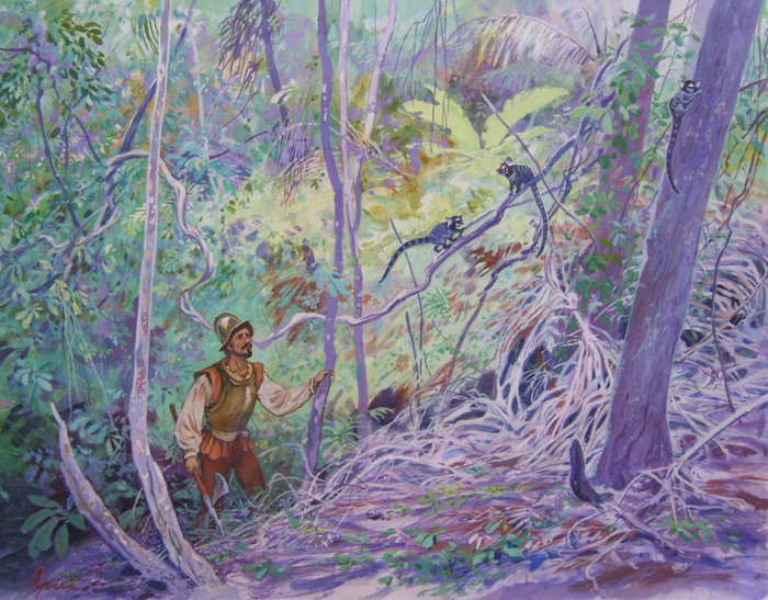 В поисках Эльдорадо