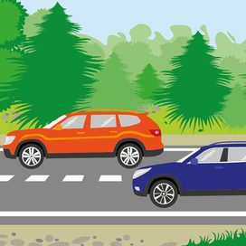 Лесная дорога