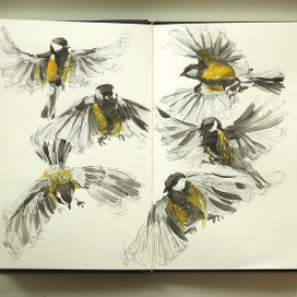 Полет синиц