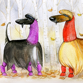 Афганы на прогулке. Серия «Любимые афганы»