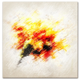 гвоздика охра_red