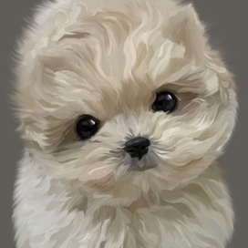 Рисунок собаки по фотографии 500 руб.