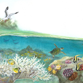 "Приключения принцессы-рыбки"