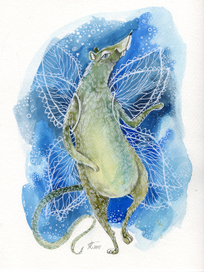 Крыса-бабочка