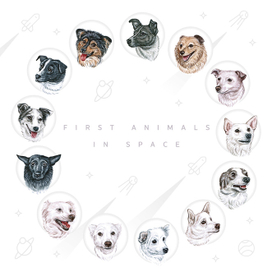 Собаки в космосе