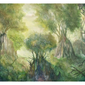 Утро в джунглях