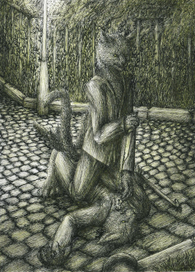 Тёмное отражение