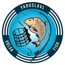 Разработка логотипа