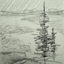 Тональный эскиз с елками