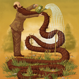 Отращивание бороды