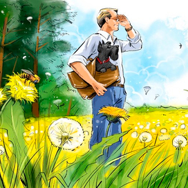 иллюстрация к книге