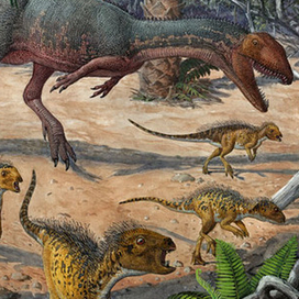 Dracovenator and Heterodontosaurs