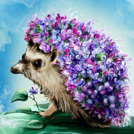 Сиреневый ежик