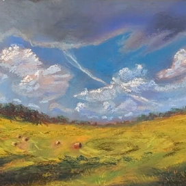 Поле с сеном