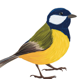 Животные и птицы