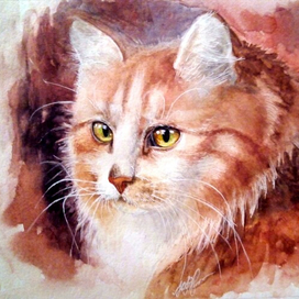 иллюстрация "Кот Василий"