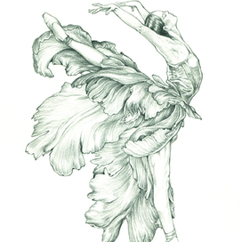 Танец цветка