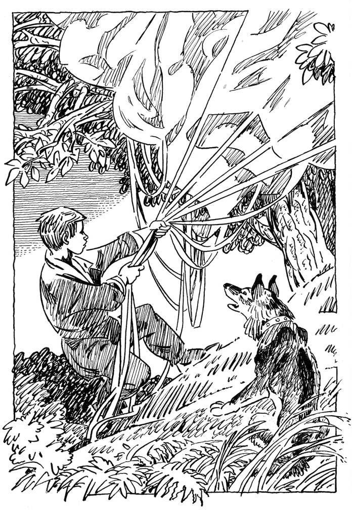 Из "Железн. Гурбана" изд. Детгиз