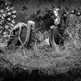 Тёщенька приехало)))