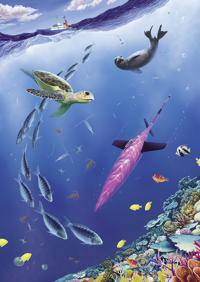 Подводный мир