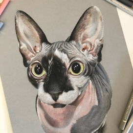 И снова сфинкс :3