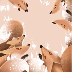 Лисы для книги