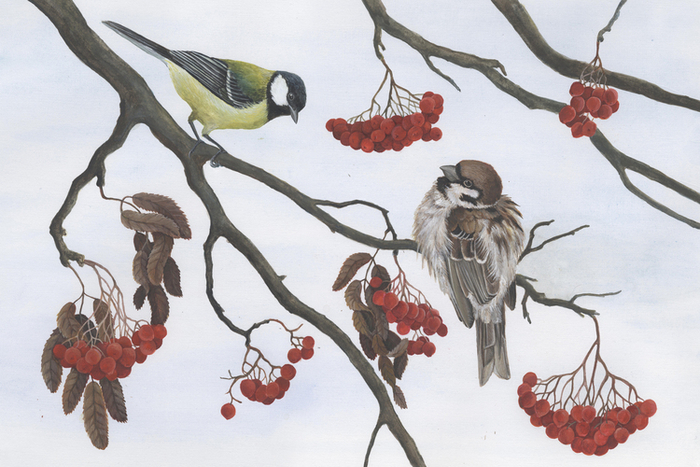 Синичкин календарь