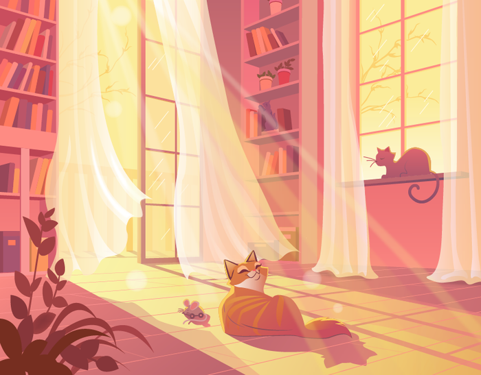 Котик на закате