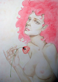 красный мак