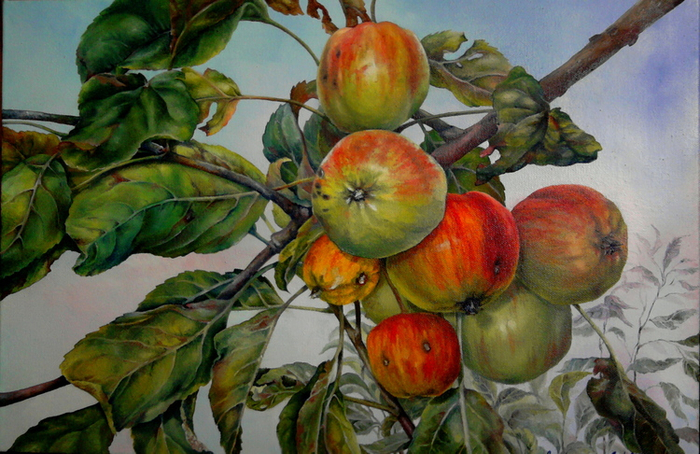 Яблоки в моем саду