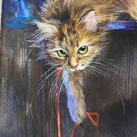 Кошка Алишка 