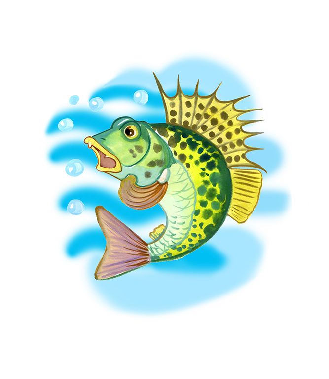 Эмблема для команды. Ершик иконка. Ерш символ. Ерш символ. Рыба рисунок.