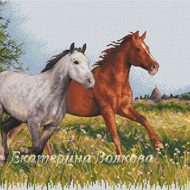 Ветру навстречу