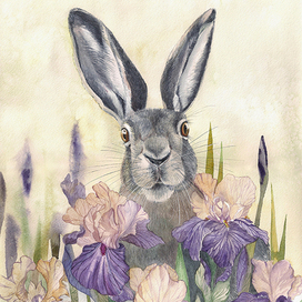 Весенний заяц