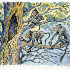 "Рам и Гау" 7