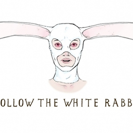 Follow the white rabbit