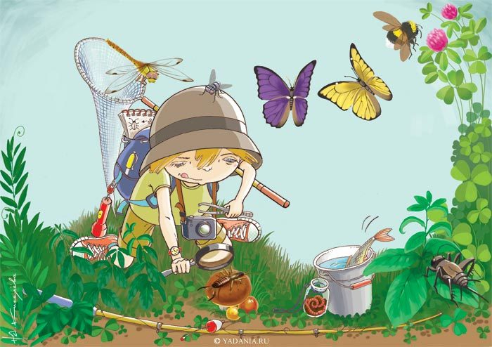 Юный энтомолог