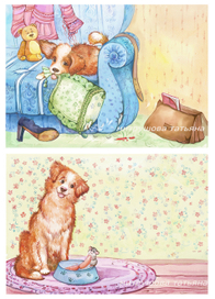 Из жизни собак