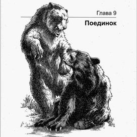 ГРИЗЛИ. Поединок