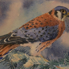 из серии "Осень"