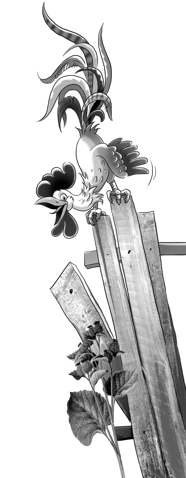 Тревожное утро