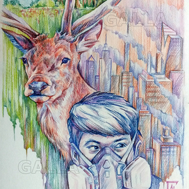 Ко несет беду в тайгу?