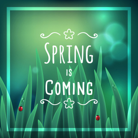 Весна рядом 2