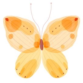 Нежно оранжевая бабочка. Детская иллюстрация