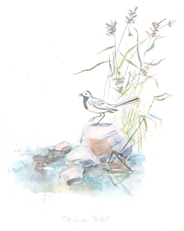 Иллюстрация к повести Луизы Мэй Олкотт "Маленькие женщины замужем"