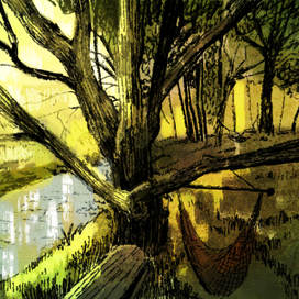 Любимое дерево